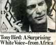  Tony Bird Headlines Village Voice 27 Dec 1976