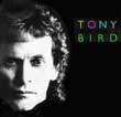 Tony Bird - Sorry Africa